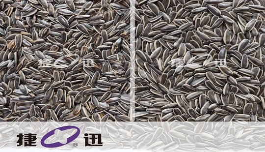 Кто помогает компании Qiaqia, поставщику качественных продуктов питания, компании Tenghongyuan Trade возглавить новую эру качества?
