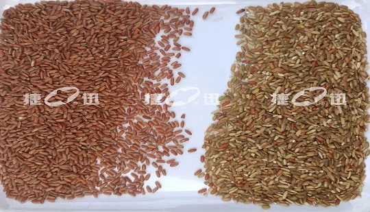Качественная сортировка риса-сырца и нешлифованного риса позволит сэкономить зерно и сократить потери десятков миллионов зерновых предприятий
